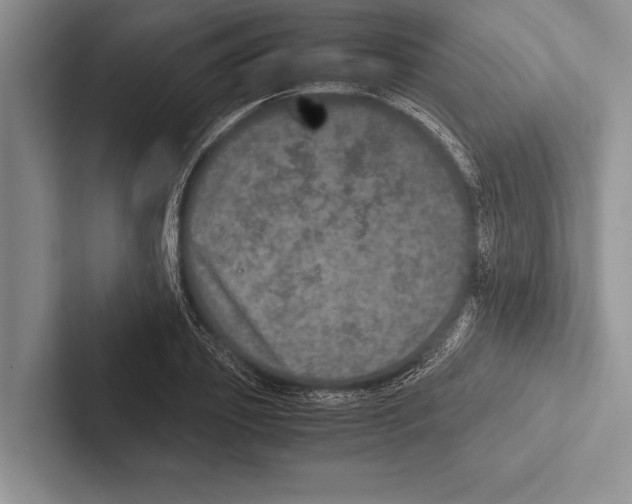 X0000102520933200809051440