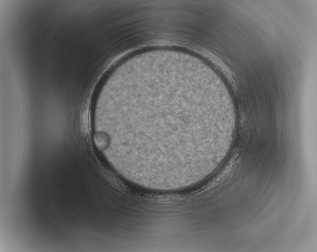 X0000102520934200809051440