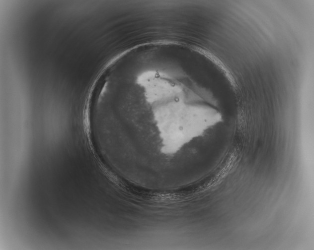 X0000102520935200809051440