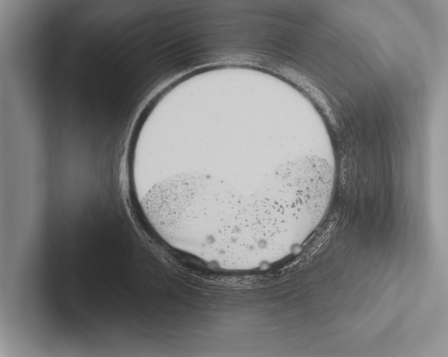 X0000102520936200809051440