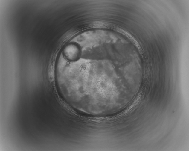 X0000102520938200809051440