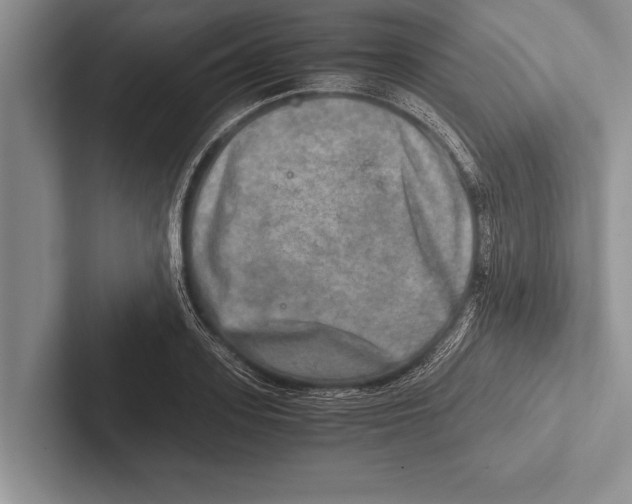 X0000102520939200809051440