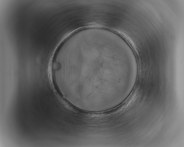 X0000102520941200809051440