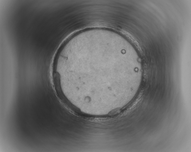 X0000102520942200809051440