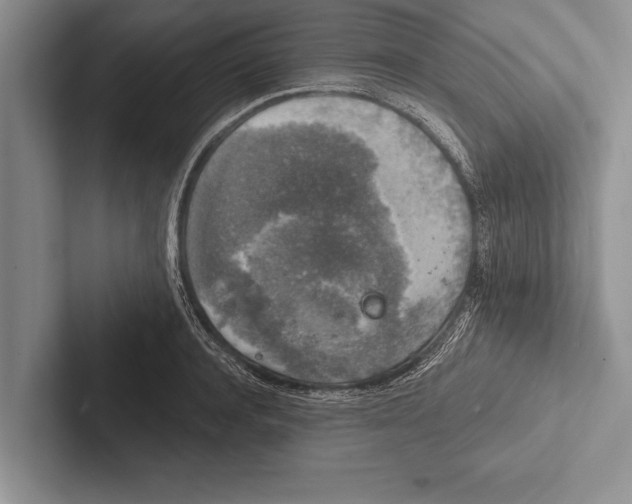 X0000102520944200809051440