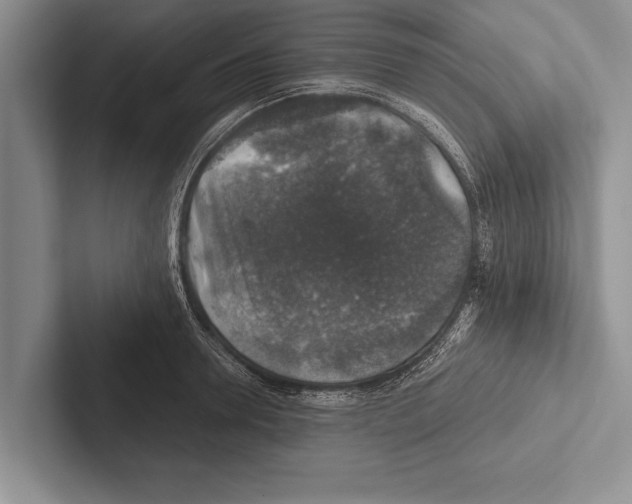 X0000102520946200809051440