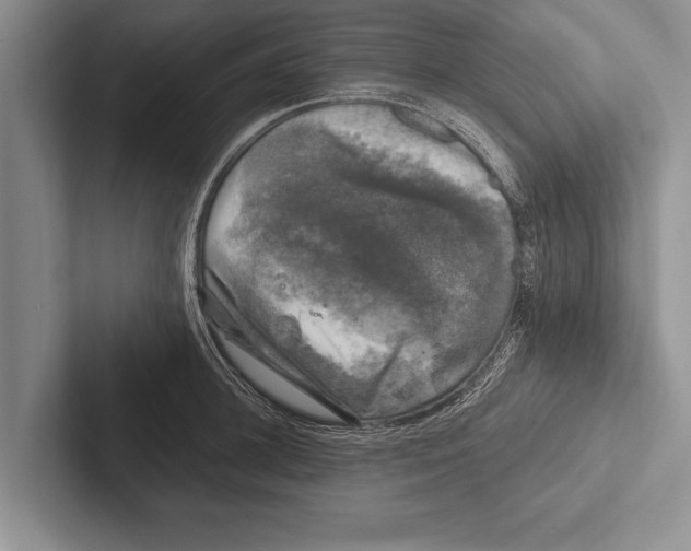 X0000102520948200809051440