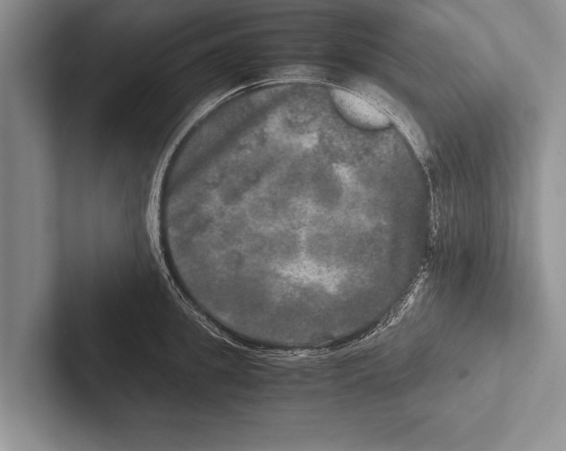 X0000102520949200809051440