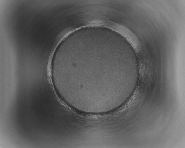 X0000102520950200809051440