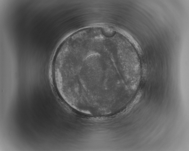 X0000102520952200809051440