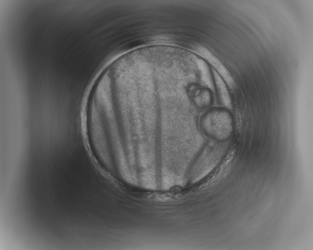 X0000102520955200809051440