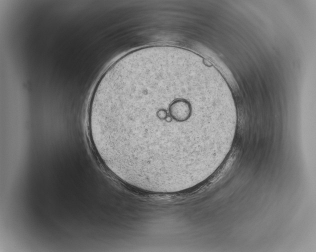 X0000102520956200809051440