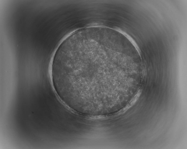 X0000102520957200809051440