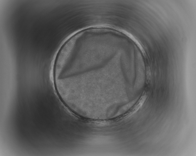 X0000102520959200809051440