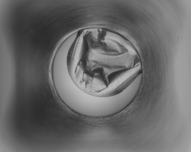 X0000102520960200809051440