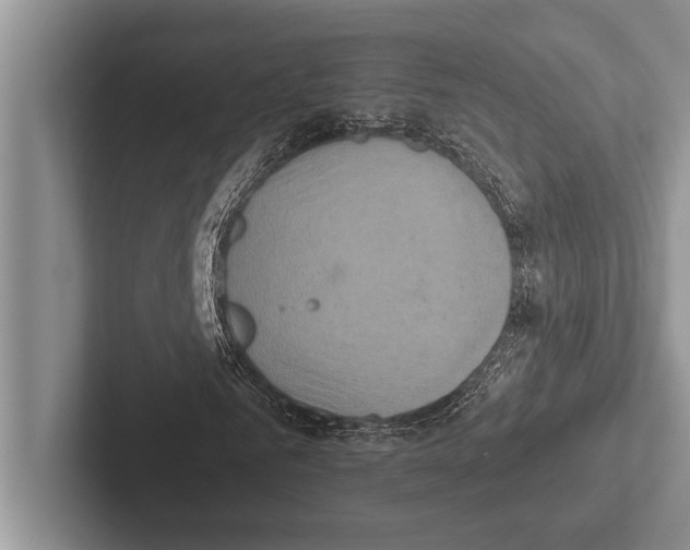 X0000102520961200809051440