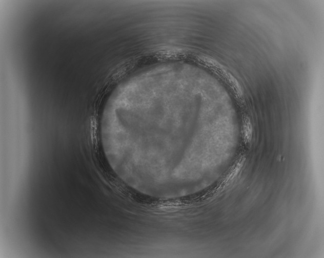 X0000102520964200809051440