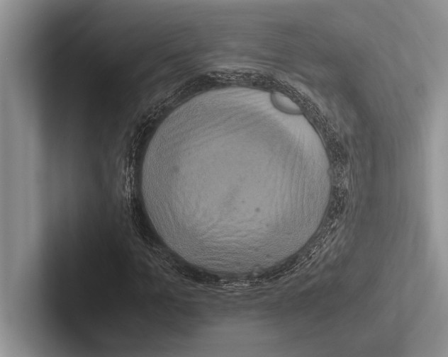 X0000102520965200809051440