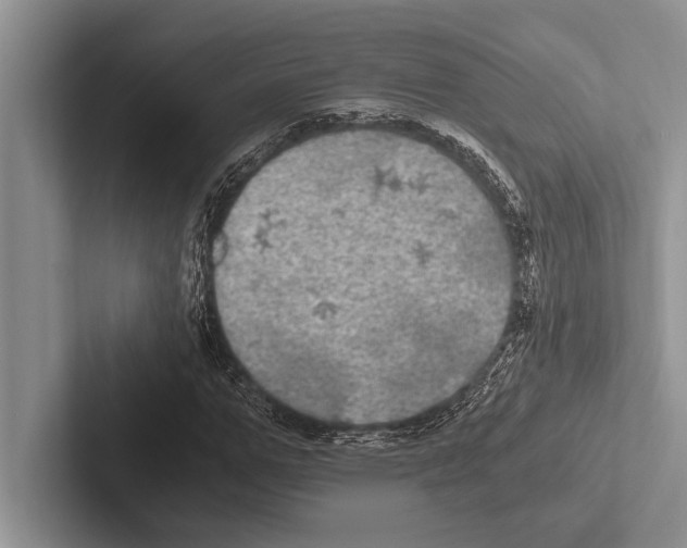 X0000102520967200809051440