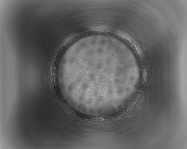 X0000102520968200809051440