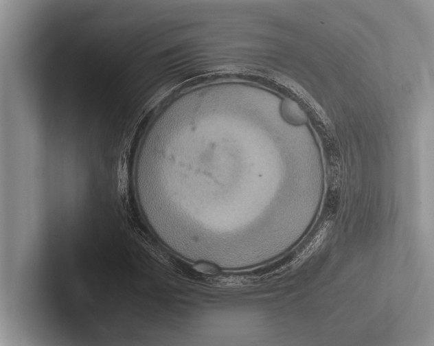 X0000102520969200809051440