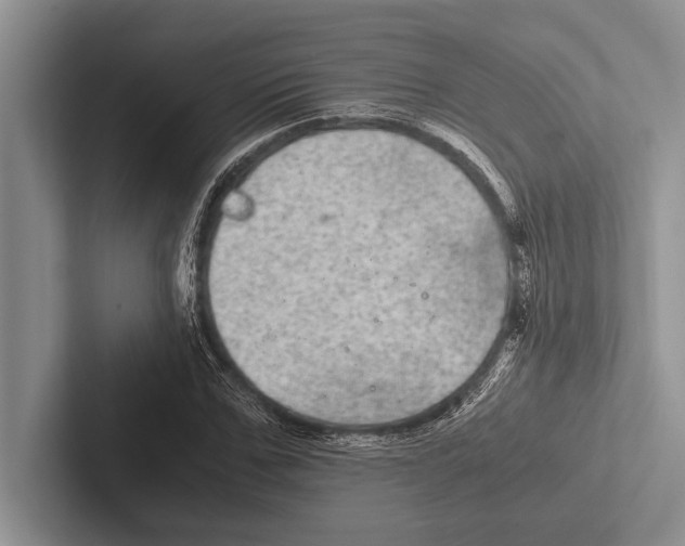 X0000102520971200809051440