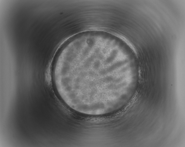 X0000102520972200809051440