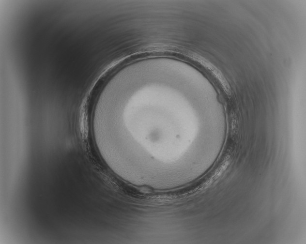 X0000102520973200809051440