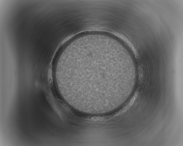 X0000102520974200809051440