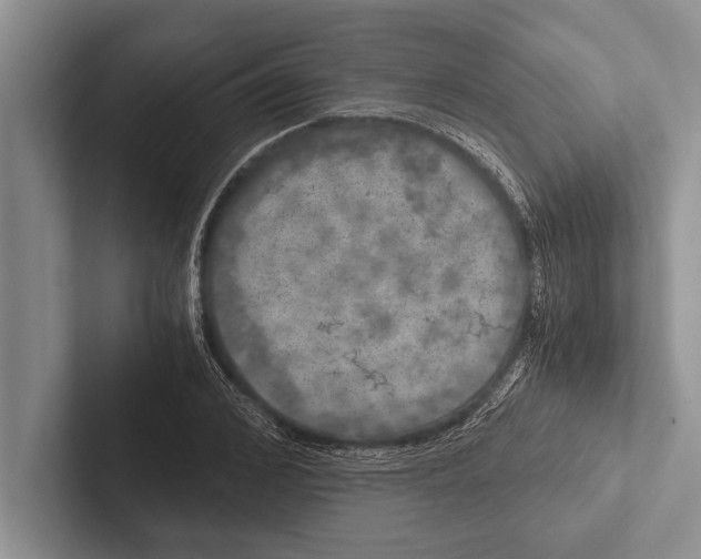 X0000102520976200809051439