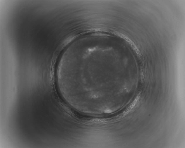 X0000102520977200809051439