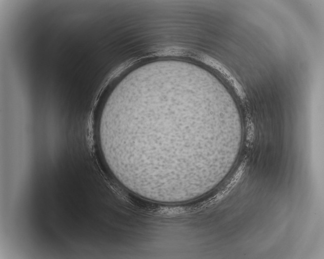 X0000102520978200809051439