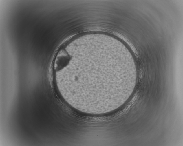 X0000102520979200809051439