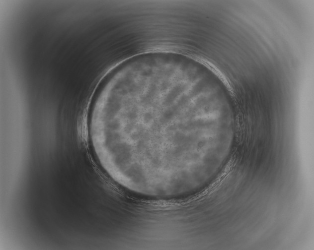 X0000102520980200809051439