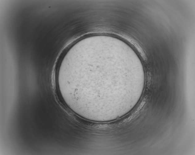 X0000102520982200809051439