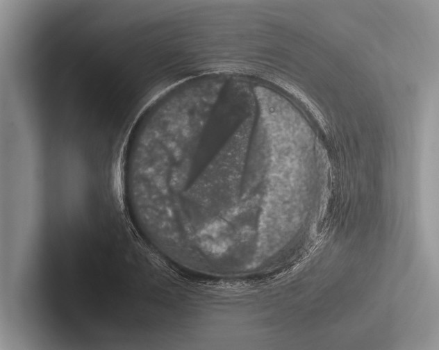 X0000102520983200809051439