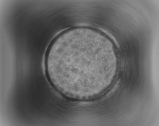 X0000102520984200809051439