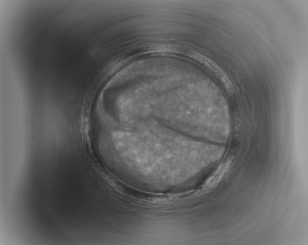 X0000102520985200809051439