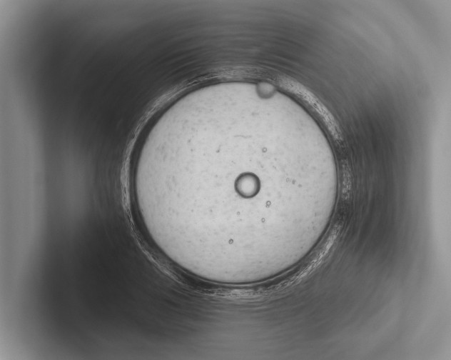 X0000102520986200809051439