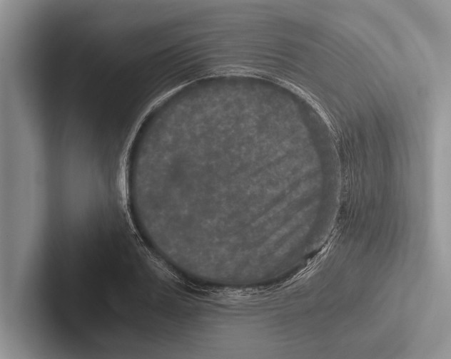 X0000102520987200809051439