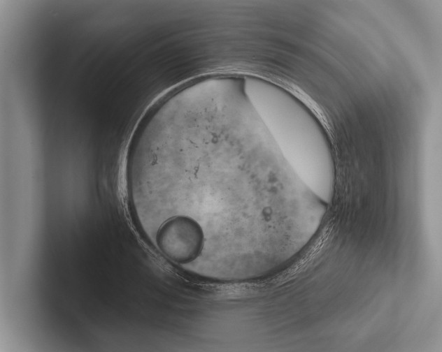 X0000102520988200809051439