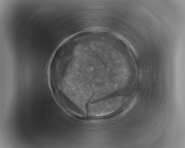 X0000102520989200809051439