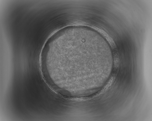 X0000102520990200809051439