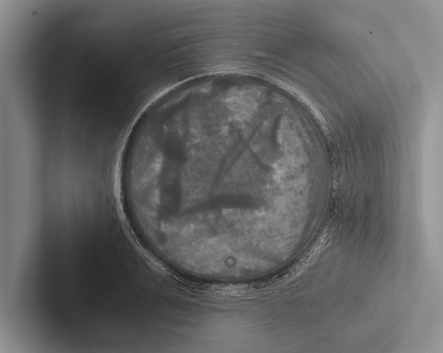 X0000102520991200809051439