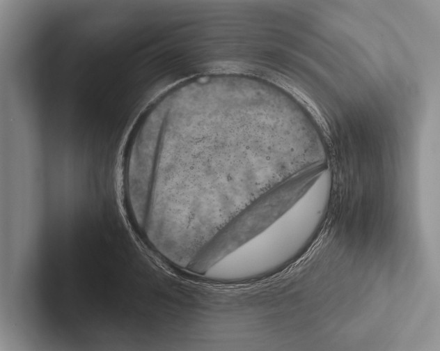 X0000102520992200809051439