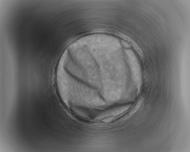 X0000102520993200809051439