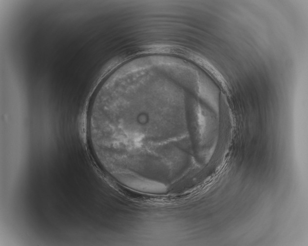 X0000102520994200809051439