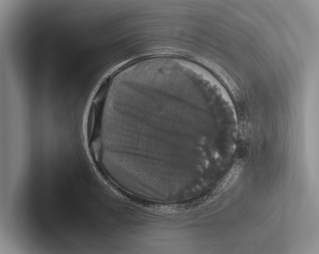 X0000102520995200809051439