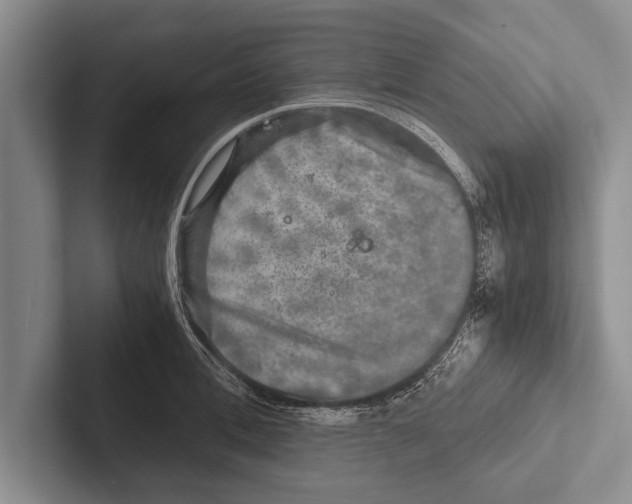 X0000102520996200809051439