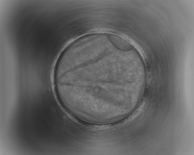 X0000102520997200809051439